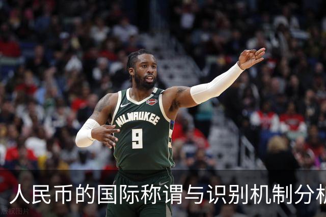 人民币的国际称谓与识别机制分析