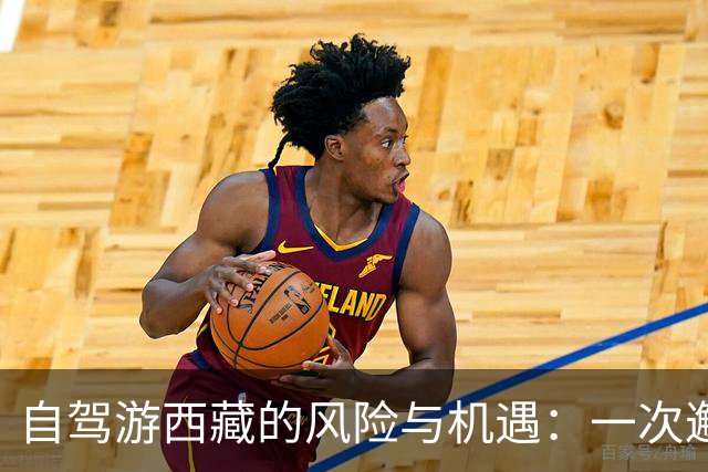 自驾游西藏的风险与机遇：一次邂逅的分析
