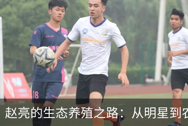 赵亮的生态养殖之路：从明星到农民的深度转型